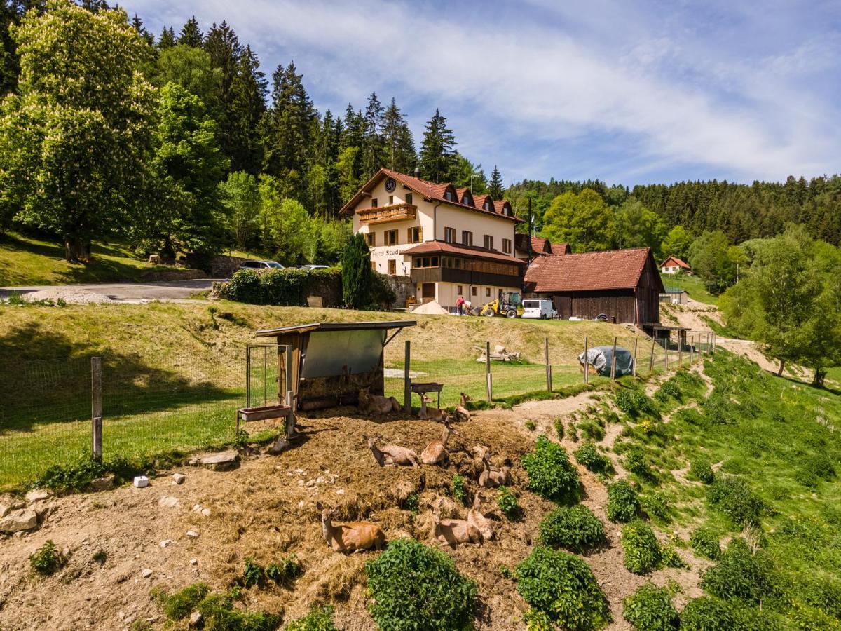 Hotel Studenec Rožmberk Rožmberk nad Vltavou Exteriér fotografie